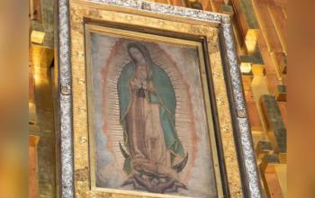 https://marianos.org/sites/default/files/field/image/guadalupe-image.jpg