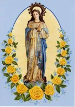 https://marianos.org/sites/default/files/field/image/0802immaculate_statue01_m.jpg